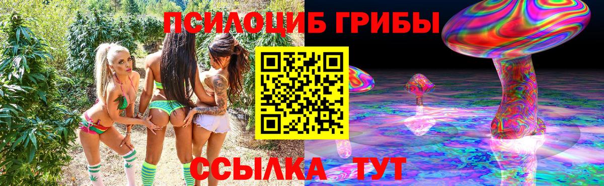 Энгельс  Галлюциногенные грибы Cubensis  Вход с VPN  Галлюциногенные грибы Psilocybine cubensis 