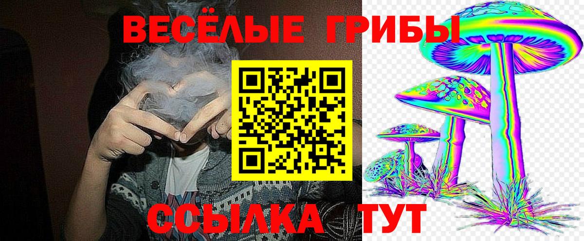 Галлюциногенные грибы Psilocybe Энгельс